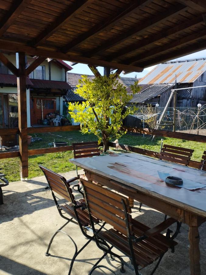 Punct Gastronomic Local Acasa La Vero Schiulesti Eksteriør bilde